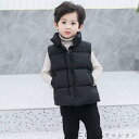 「50%OFFクーポン」新生活 中綿 キッズ スタンドカラー 中綿ベスト 子供 アウター 子供服 ダウンジャケット 男の子 女の子 ジップアップ 中綿 保温 立襟 軽量 あったか ベスト ポケット付き 通学 防寒対策 暖かい 秋冬 ジュニア ダウンベスト