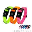 新生活 犬 首輪 犬用 首輪 軽い 中型犬 大型犬 超大型犬 小型犬 おしゃれ 痛くない ソフトパッド メッシュ 丈夫 カラー ペット用品 アウトドア おしゃれ...