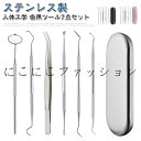 ケース付き ヤニとり 口腔ケア器具 歯石取り 自宅用 先極細 スケーラー 口腔清潔 6点セット 歯石取り ステンレス製 歯石除去 プロ仕様 歯石とり 歯垢 デン...