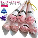 バラ イベント 母の日 10本入 ギフト バラフラワー カーネーション 1輪 ソープフラワー 送別会 入学 ウエディング 謝恩会 贈り物 プレゼント ソープフラ...