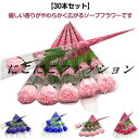 花束 カーネーション イベント 1輪 ソープフラワー ソープフラワー バラフラワー 母の日 30本入 送別会 入学 贈り物 ウエディング ギフト お祝い 謝恩会...