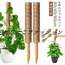 ココナッツ 10点セット 【4本入り】ココスティック 支柱 植物支柱 花ささえ ガーデニング用 ポトス モンステラ 観葉植物 ココナッツ支柱 園芸支柱 植物 ガ...