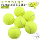 テニス練習器具 グッズ テニス 12個セット 練習 キッズ テニスグッズ スポンジ 子供 こども スポンジボール プレゼント ボール スポンジテニスボール トレ...