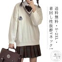 ニットセーター スクールセーター 制服 Vネック スクール 綿 コットン 制服 秋冬 セーター カーディガン JK制服 春 ニット 学生服 ゆったり レディース セーター 大きいサイズ 無地 女子高生 高校生 中学生 高校 通学 女子