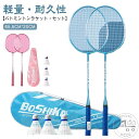 室外 バトミントンラケット 大人用 トレーニング用 2本セット 室内 初心者向け 軽量 シャトル3個 ダブルラケット 収納ケース 子供用 頑丈 練習用 軽い 2...