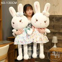 抱き枕 ぬいぐるみ 動物 アニマル ネコ ねこ あったか かわいい 子供 癒し レインボーウサギのぬいぐるみ かわいい長耳ウサギ女性 誕生日もこもこ ふわもこ ...