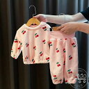 セットアップ 上下セット 子供用パジャマ パジャマ ルームウェア 子供服 子供 キッズ ベビー 男の子 女の子 寝巻き 寝間着 ナイトウェア 長袖 長ズボン ハ...