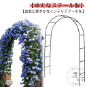 フラワーアーチ ローズアーチ ガーデンアーチ つるバラ アーチ diy ばら バラアーチ 薔薇 バラ ばら 誘引 アーチ 組み立て 簡単 園芸支柱 菜園 家庭菜園 ガーデニング用 支柱 園芸 花立て 花台 庭園 花壇 繰り返し利用 アイアンアーチ エクステリア おしゃれ 北欧