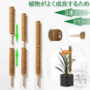 【送料無料】3本セット ココスティック モンステラ 支柱 ココナッツ おしゃれ 園芸支柱 ポトス 植物支柱 ガーデン 蔓 花ささえ 連結 延長 木製 ココナッツ...