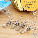 洗濯バサミ ピンチ ステンレス製 100個セット ピンチクリップ 錆びにくい 劣化しづらい 便利 多様 丈夫 頑丈 壊れにくい 洗濯用品 洗濯物ばさみ 挟む Y字 シンプル タオル 下着 スカート ズボン