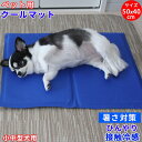 RAITOS ペットクールマット 50x40cmm 厚み7mm ひんやりマット 冷感涼感マット 冷却マット 冷感 涼感 冷えシート 冷えマット 熱中症 暑さ対策...