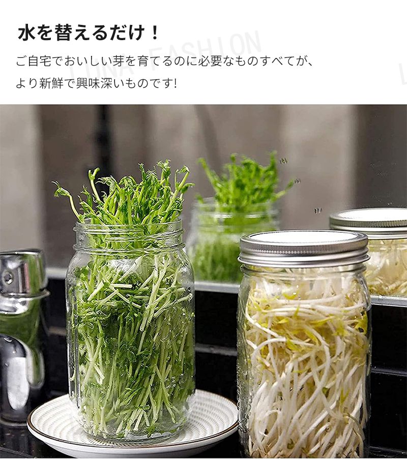 ステンレス 植物育成 大豆 トレイ付き 通気性 もやし ジャー 落花生 セット もやし...