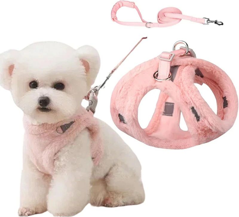 軽量 セット 冬 犬 リード 抜けない 胴輪 ハーネス 簡単着脱 春