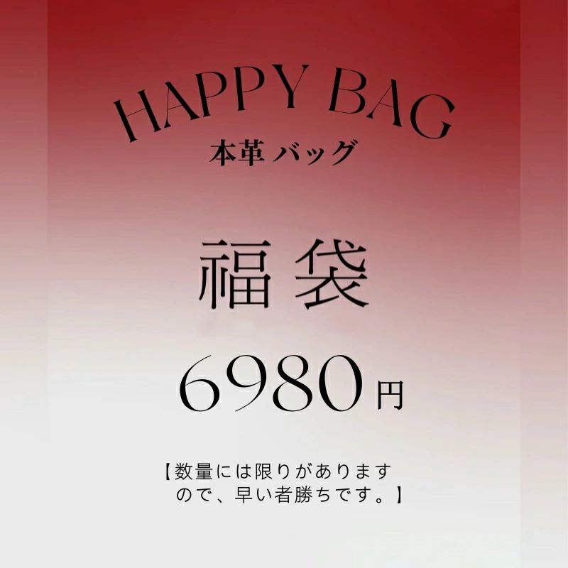 レディース 本革バッグ ショルダーバッグ リュック 福袋 バッグ