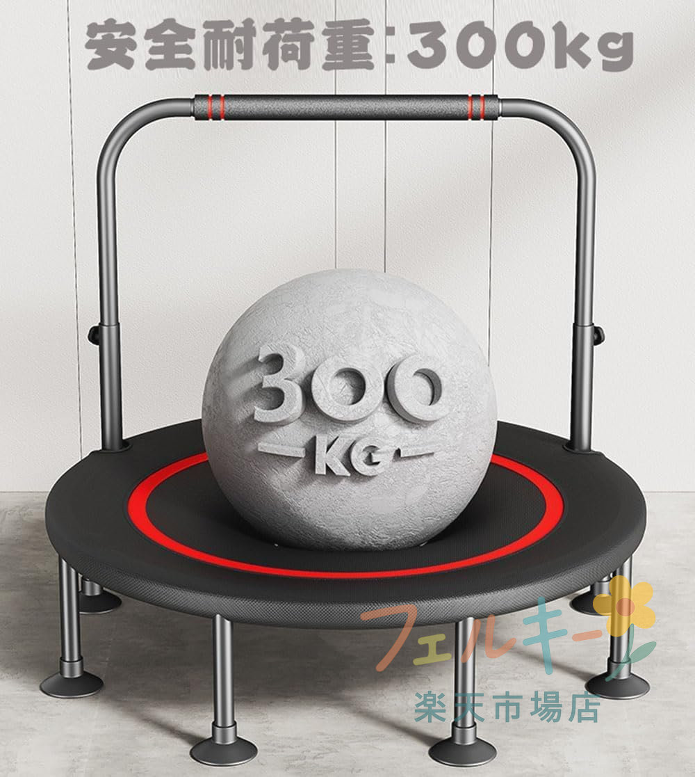 ������ �ȥ��ݥ�� �Ų��߷� ���� Ȭ��­ �Ѳٽ�300kg ���ݹ�¤ �ꤹ���դ� ������ �Ҷ���ͷ���