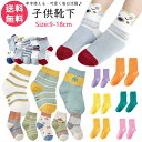 靴下 キッズショートソックス 5足組 数量限定送料無料!】子供