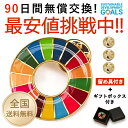 sdgsバッジ 正規品 留め具付き SDGs バッジ 1点3点10点20点50点 金色丸み仕上げ sdgsバッチ ピンバッチ SDGs 会議 着用義務 イメージアップ 国連ガイドライン対応 バッグにも最適 かわいいピンバッジ (25mmサイズ)1点 3点 10点 20点 50点 1