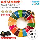 正規品 SDGs バッジ 留め具付き 50点 sdgsバッジ 正規品 SDGs バッジ 金色丸み仕上 ...