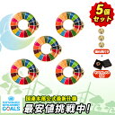 5個【国連本部公式最新仕様・インボイス対応】SDGs バッジ 25mm 国連 正規品 留め具 強力 ピンバッジ マグネット なし SDGsピンバッジ 金色 丸み...