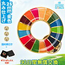 【インボイス対応・国連最新仕様】SDGsバッジ 国連最新仕様 金色丸み仕上げ sdgsバッチ ピンバッチ 会議 着用義務 イメージアップ 国連ガイドライン対応 ...