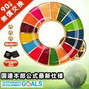 1個〜100個【適格請求書発行・ボックス付き】国連 正規品 sdgs バッジ 留め具 6個 ピンバッジ ミニタイタック sdgsバッジ 強力 タイタック sdg...