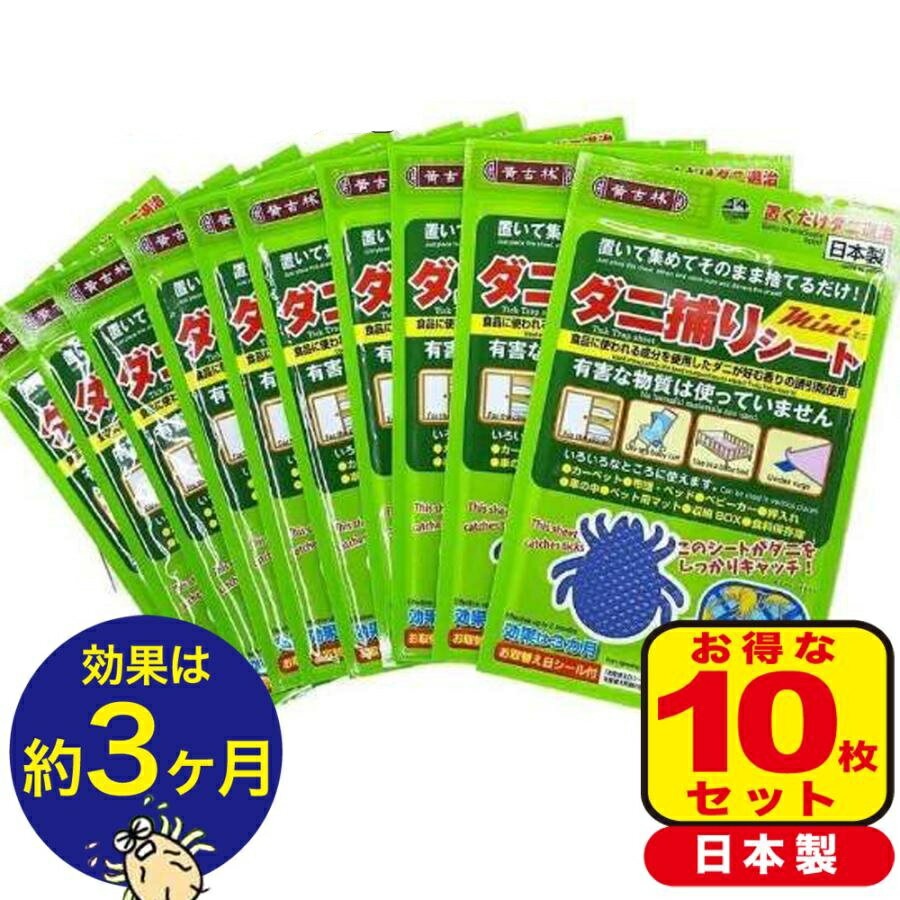 ֤10祻åȡ ץк ꥷ ˤ褱 ˼ꥷ ˶ ˤۥۥ 3³ ༣ ͽ к ֤ ...