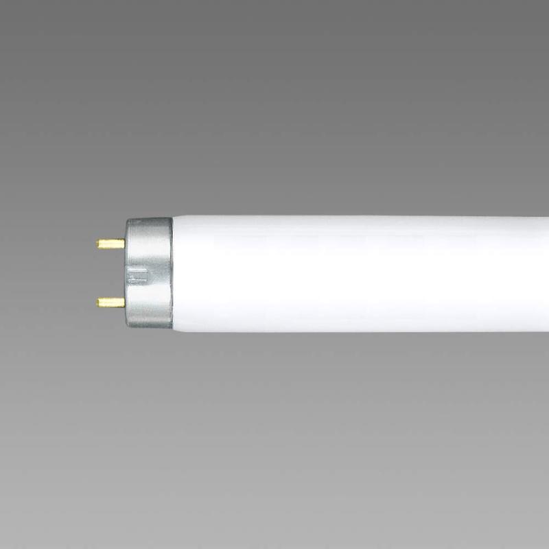 NEC饤ƥ Hfָ FHF32EXDHXS