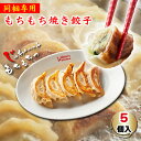 同梱専用 もちもち焼き餃子 5個 | 生餃子 大きい もちもち 餃子 フライパン調理 ギョウザ ぎょうざ ギョーザ 冷凍餃子 お取り寄せ ギフト 仕送り 惣菜 中華 点心 グルメ 手づくり おつまみ お弁当 時短 おかず 一人暮らし 食事 冷凍 中華料理