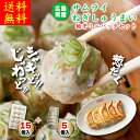 【送料無料】サムライねぎしゅうまい15個+餃子5個|宮崎県産黒豚入り 餃子 ぎょうざ ねぎ 葱 冷凍 レンチン 時短 シュウマイ 焼売 シューマイ 中華料理 お取り寄せ 惣菜 中華 点心 グルメ 本格 レンジ しゅうまい 黒豚焼売 黒豚しゅうまい お中元