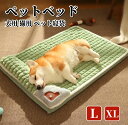 ペットベッド Lサイズ XLサイズ ペット用品 ドッグハウス ペットマット 成犬 シニア 老犬 中型犬 大型犬 犬ベッド 猫ベッド クッション 枕付き ふわふわ ボリューム ラージマット 長方形 室内用 可愛い 柔軟 暖かい 寒さ対策 滑り止め 洗える 取り外せるカバー 送料無料