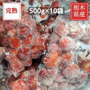  Ⓚ ƒp 5kg 500g~10 Ȗ،Y C`S   n Y Ɩp