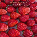 いちご 【斎藤農園】ゆうやけベリー (15〜20粒 300g)×2P 福島県伊達市 《5/1〜5/10より出荷》