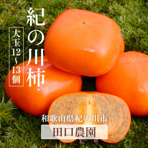 柿 【田口農園】 紀ノ川柿 紀の川柿 3.75kg 12~13個 大玉 贈答用 和歌山県紀の川市 《10/中旬~10/下旬より出荷》 柿 【田口農園】 紀ノ川柿 紀の川柿 3.75kg 12~13個 大玉 贈答用 和歌山県紀の川市 《10/中旬~10/下旬より出荷》