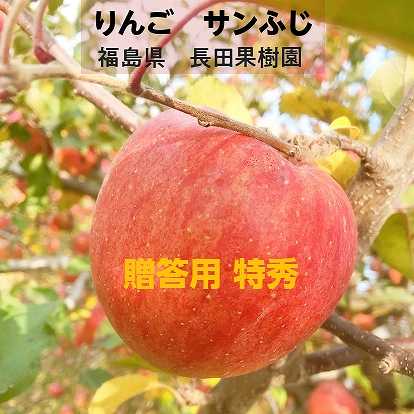 りんご 【長田果樹園】サンふじ 約10kg 小玉40個 特秀 贈答用 福島県石川町 《11/下旬～12/上旬より出荷》