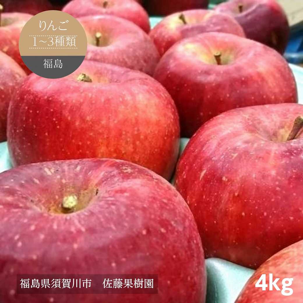 りんご 【佐藤果樹園】 4kg 10～13個 1～3種類 福島県 須賀川市 リンゴ 林檎