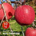 りんご 【佐藤幸男農園】 リンゴ 10kg フジ Lサイズ 26~32玉 贈答用 福島県 《12/上旬~12/中旬より出荷》(4)