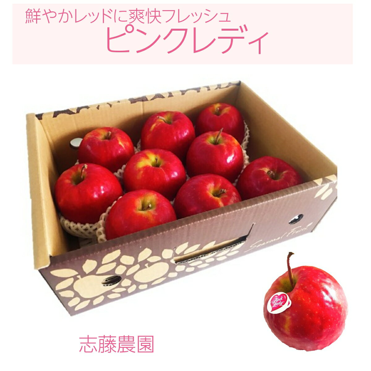 りんご 【志藤農園】 小玉りんご ピンクレディ 特秀 2kg 8～11玉 山形県 リンゴ 林檎