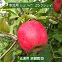 りんご りんご 【志藤農園】 小玉りんご ピンクレディ 家庭用 5kg 23～28個 山形県 リンゴ 林檎