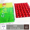 さくらんぼ 【一愛農園】 佐藤錦 300g 48〜54粒 特秀 L以上 贈答 誕生日 母の日 山形県 東根市 《4/上旬〜中旬より出荷》