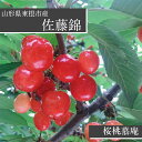 さくらんぼ 【桜桃慕庵】 佐藤錦 1kg 贈答用 L以上 山形 東根市 《6/中旬〜6/下旬の出荷》