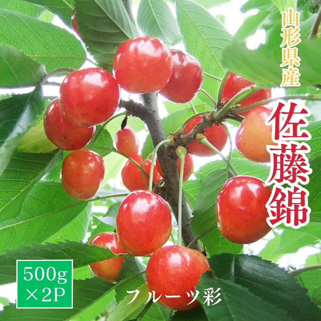 さくらんぼ 【フルーツ彩】 佐藤錦 500g×2P 1kg ML 山形県上山市 《6/中旬~6/下旬の出荷》