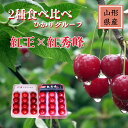 さくらんぼ 【ひかりグループ】 食べ比べ 紅王 紅秀峰 3L 12粒ずつ 山形県《6/中旬〜6/下旬の出荷》