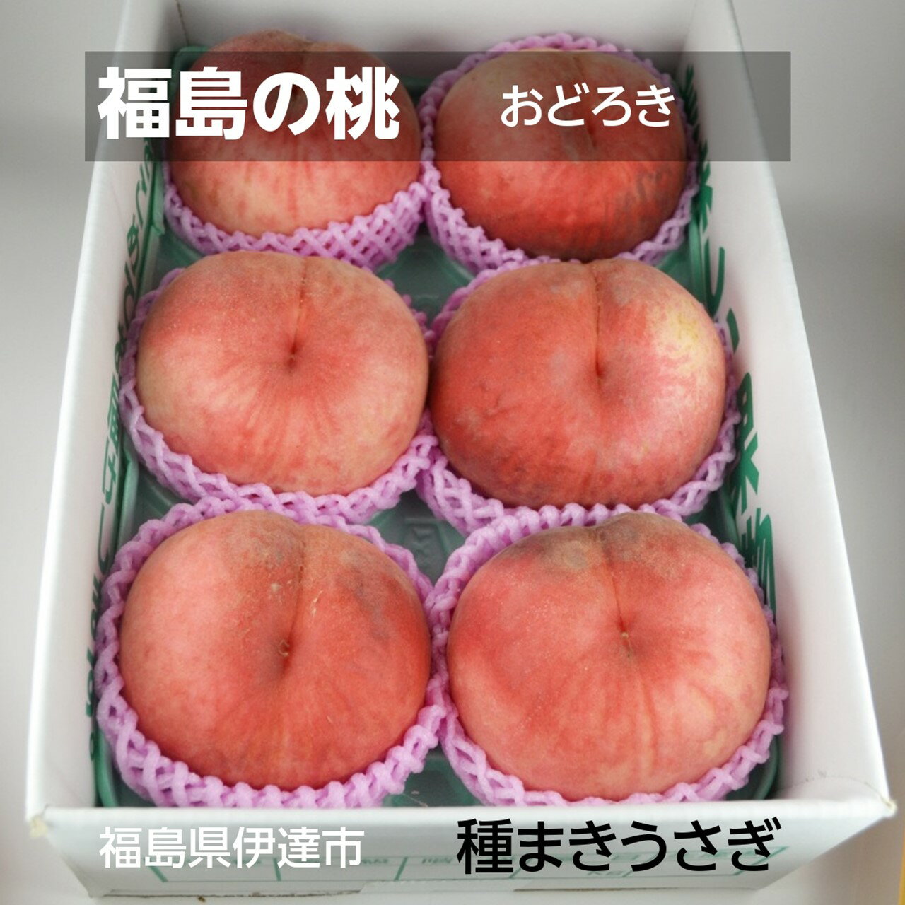 桃 【種まきうさぎ】硬い おどろき 2kg(5~6個) 福島県伊達市 《8/12~8/中旬出荷》
