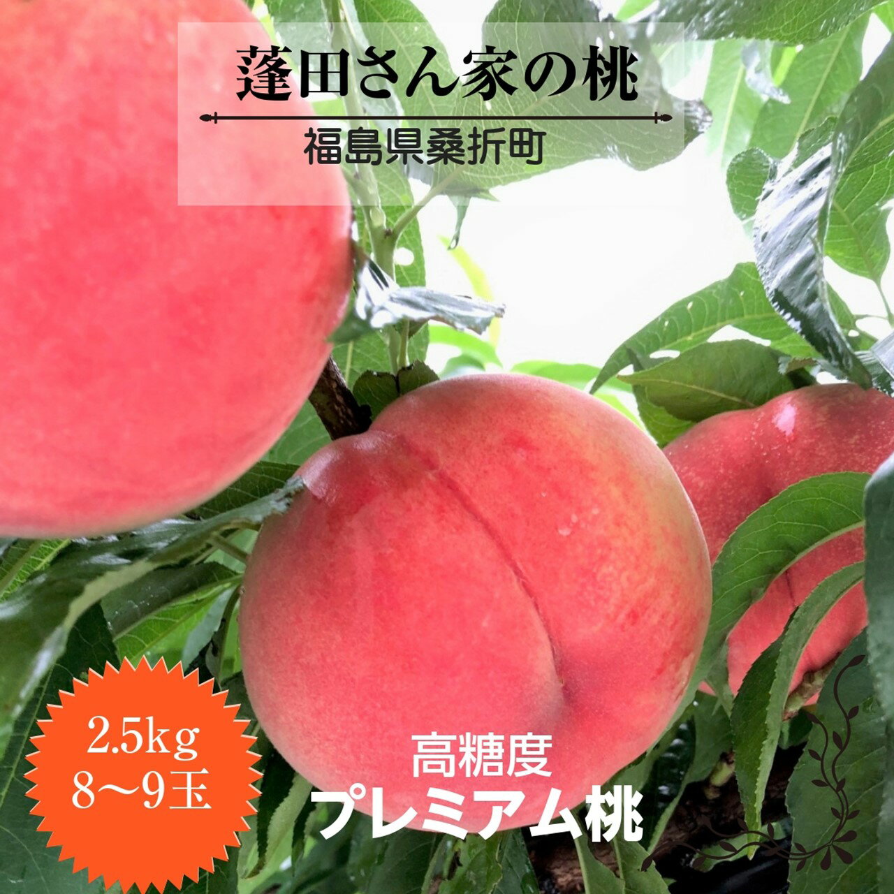 【蓬田さん】献上桃の郷　福島県桑折町　桃 あかつき　2.5kg プレミアム桃 高糖度 15度以上 100％有機肥料　8～9玉　贈答用 福島の桃 福島 もも 贈答 ギフト プレゼント