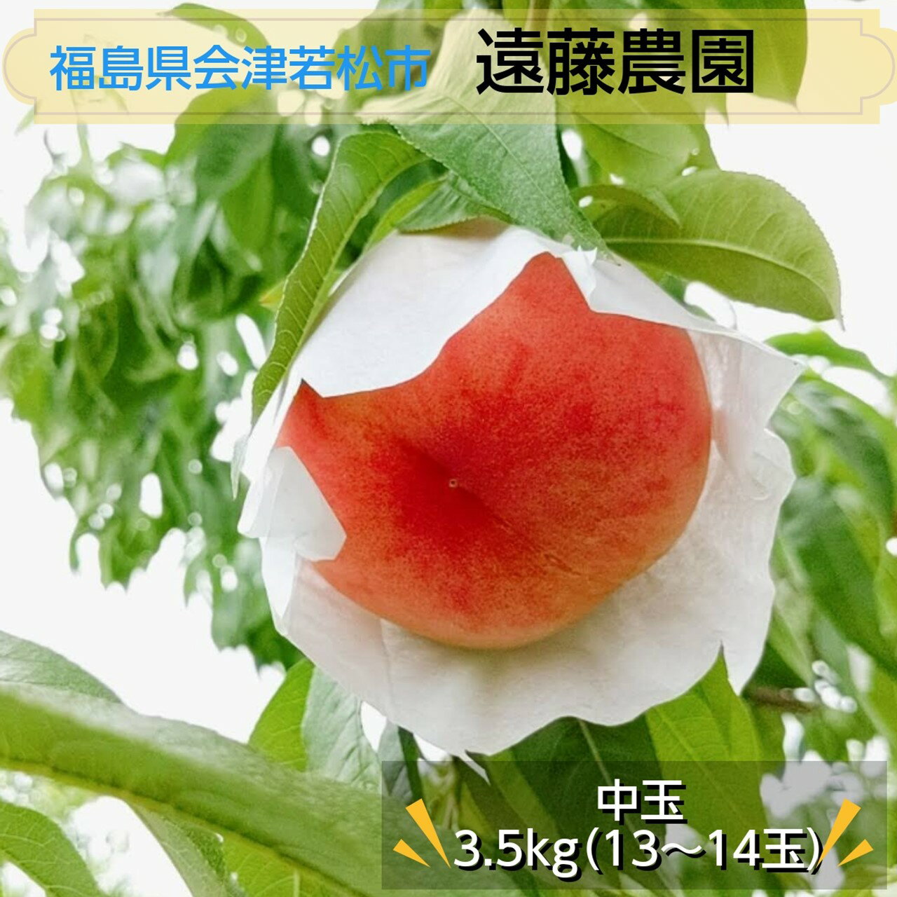 桃 【遠藤農園】 もも 3.5kg 中玉13～14個 贈答 品種色々 福島県 《7月下旬～8月上旬から出荷》