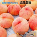 桃 【遠藤農園】 もも 5kg 大玉 14~18個 品種色々 贈答 福島県 会津 《7/下旬~8/上旬から出荷》(4)