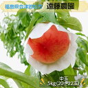 桃 【遠藤農園】 もも 5kg 中玉 20~22個 品種色々 贈答 福島県 会津 《7/下旬~8/上旬から出荷》