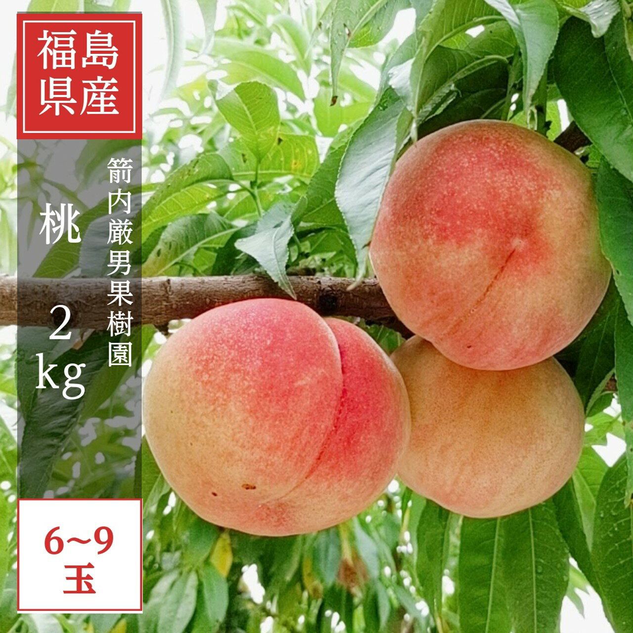 桃 【箭内厳雄果樹園】 もも 2kg 5～9玉 品種おまかせ 贈答用 福島県 《7月下旬～8月上旬から出荷》