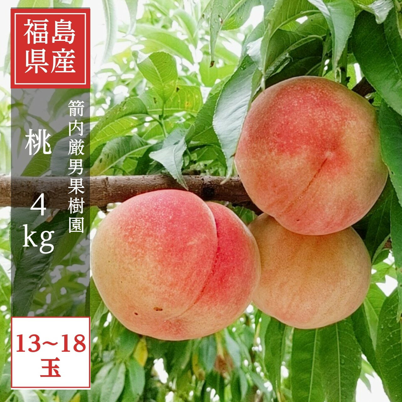 桃 【箭内厳雄果樹園】 もも 4kg　10～18玉 品種おまかせ 福島県 贈答用 《7月下旬～8月上旬から出荷》 1