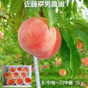 桃  もも 川中島 3kg 9～12個 贈答用 プレゼント福島県 《8月中旬～8月下旬の出荷》